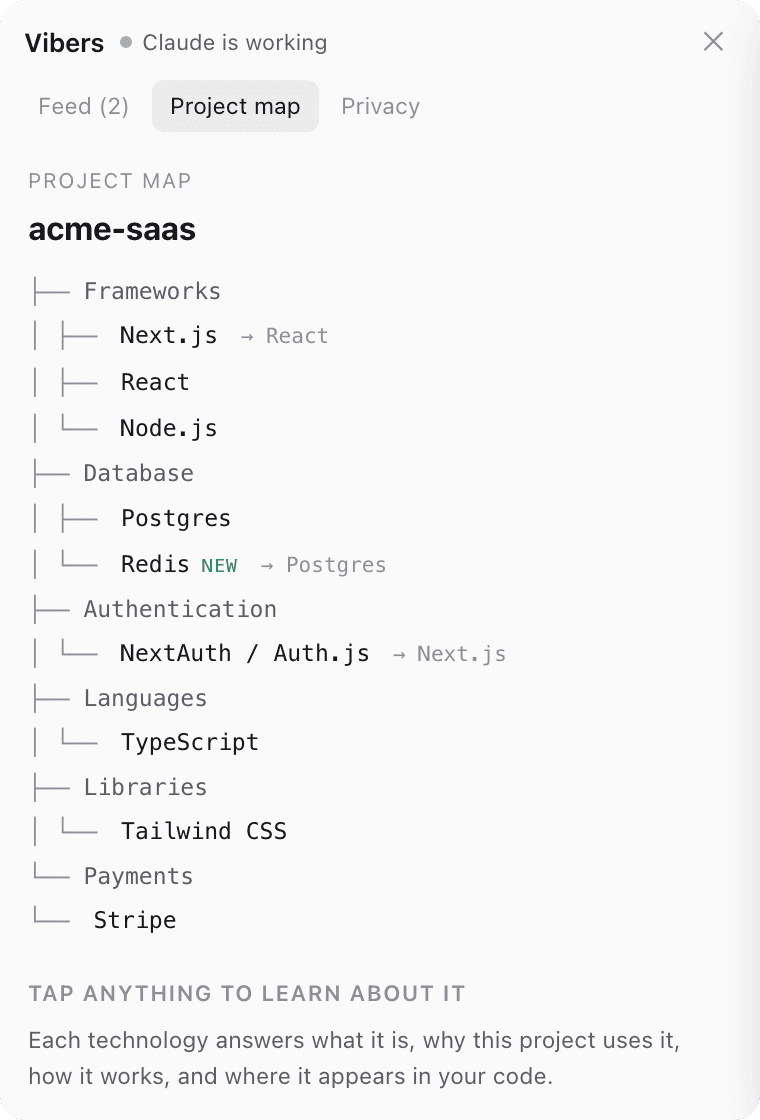The Vibers project map showing a text tree of the project's frameworks, database, authentication and libraries, with Redis marked NEW.